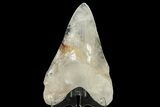 7.4" Realistic, Carved Clear Quartz Megalodon Tooth - Replica - Photo 2